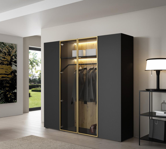 Eleganter Drehtürenschrank mit Glasfront LED Licht Schwarz STELLS