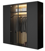 Eleganter Drehtürenschrank mit Glasfront LED Licht Schwarz STELLS