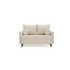 Schlafsofa klein 145 cm breite LEO Grau Velvet