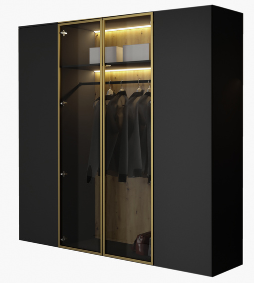 Eleganter Drehtürenschrank mit Glasfront LED Licht Schwarz STELLS