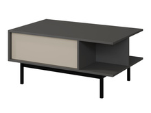 Couchtisch für Wohnzimmer Beige/Anthrazit MALTS