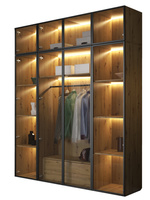 Kleiderschrank mit LED Beleuchtung Glasfronten Artisan STELLS