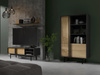 Japandi Design TV-Schrank Eiche geölte/ Anthrazit MALTS