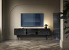 TV-Schrank Schwarz DAVS